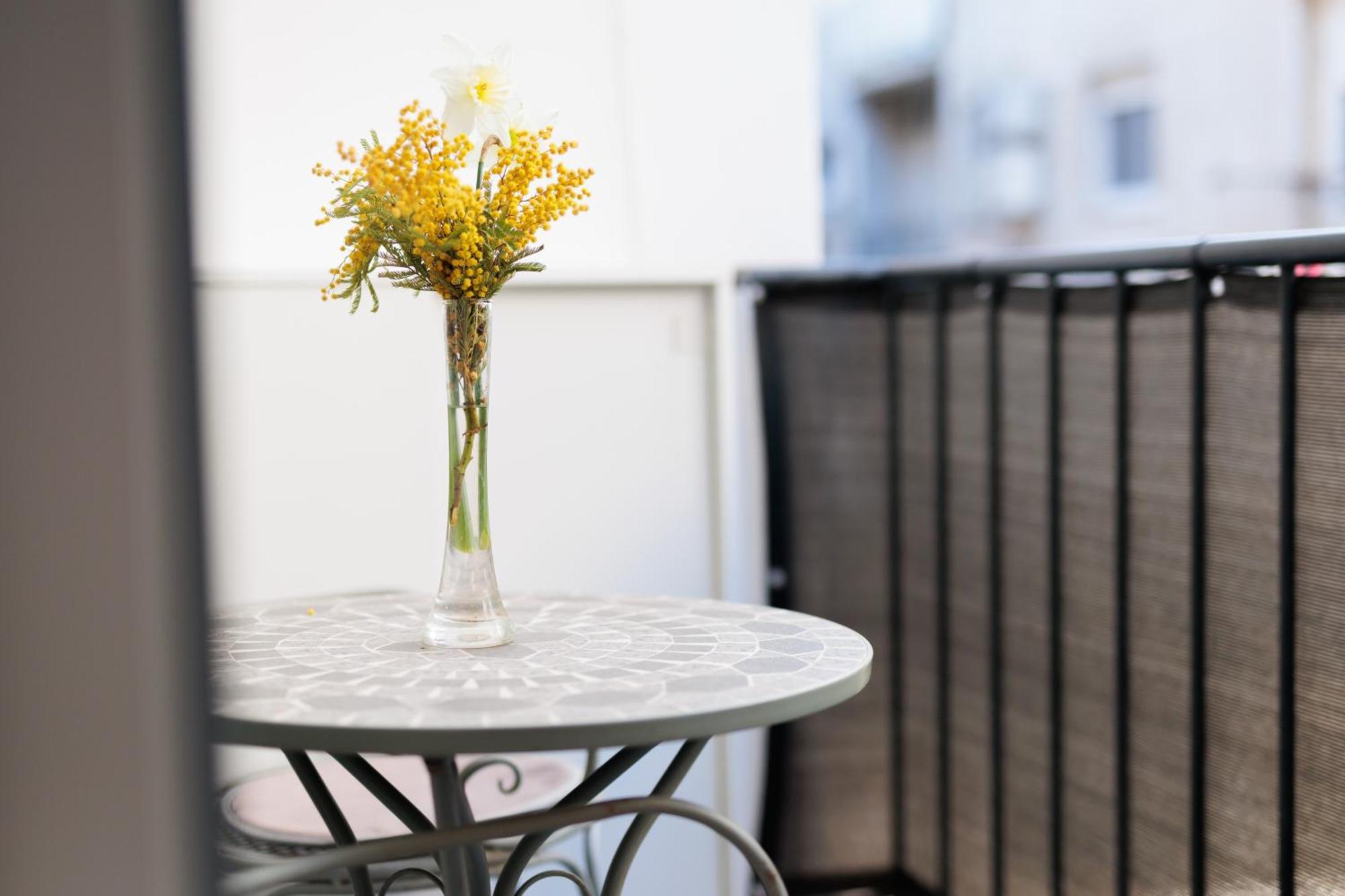Zarina Apartment - Old Town Center ザダル エクステリア 写真